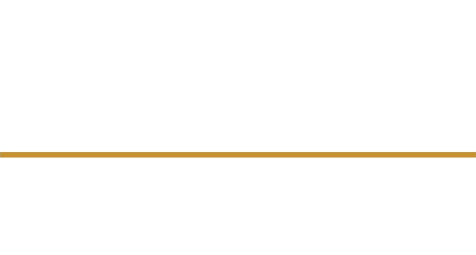 Georgia Southwestern State University Logo